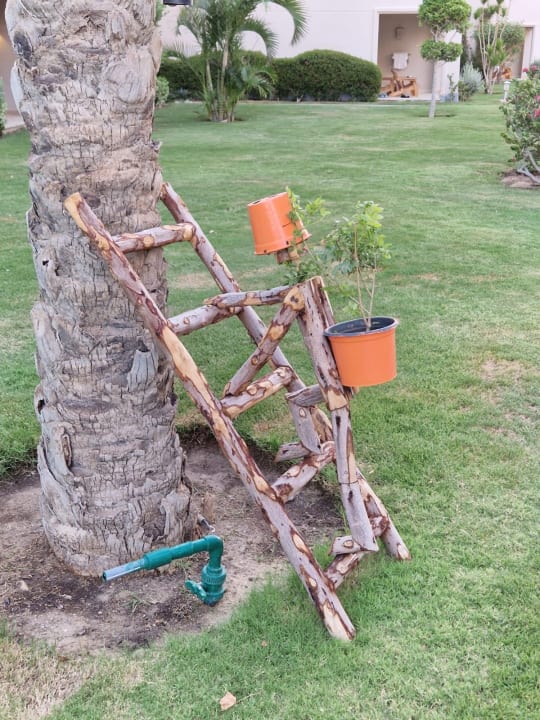 Gartenanlage Jaz Soma Beach