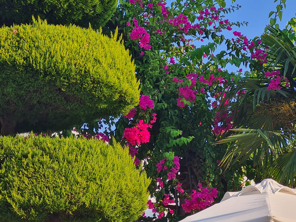 Gartenanlage Saphir Hotel & Villas