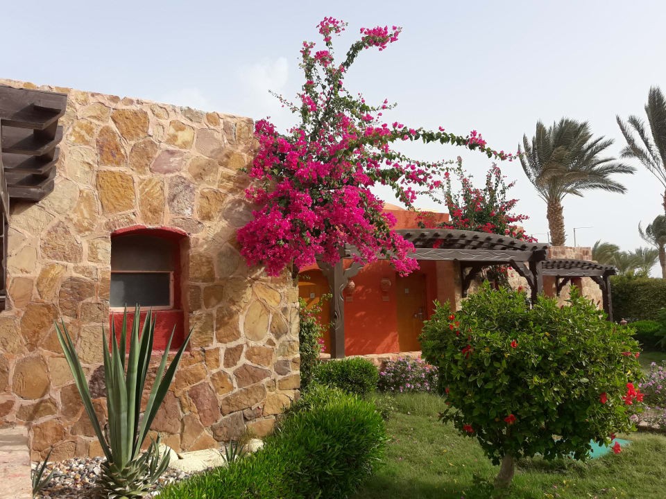 Zimmer Swisstouch Oriental Resort Marsa Alam
