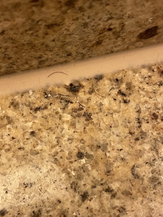 Strand Parkhotel 1901 Mannheim