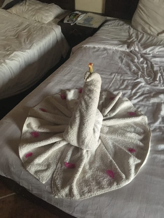 Zimmer Three Corners Sea Beach Resort