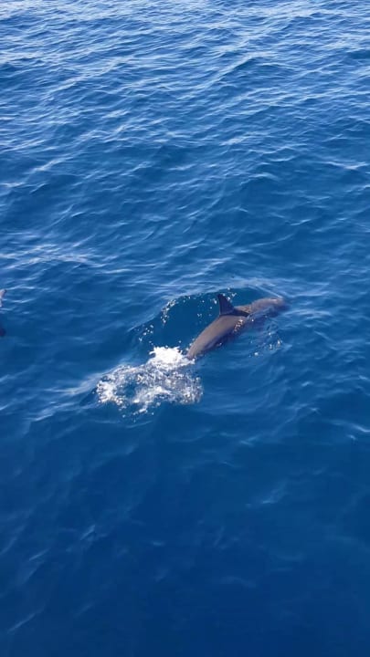 Strand Adaaran Select Meedhupparu Island Resort - Premium All Inclusive