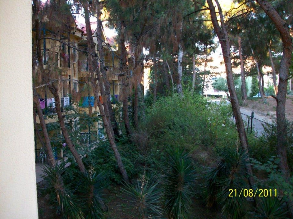 Blick aus unserem Zimmer Dosi Hotel