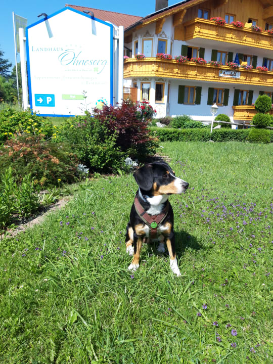 Außenansicht Landhaus Ohnesorg