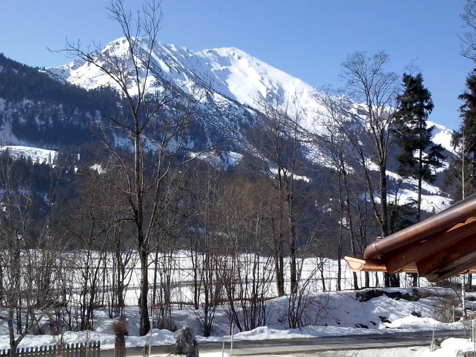 Blick vom Zimmer"Rohnenspize" Bauernhof Haus Waldesruh