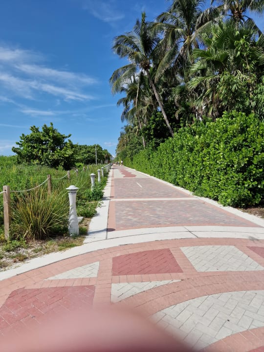 Gartenanlage Hotel Riu Plaza Miami Beach