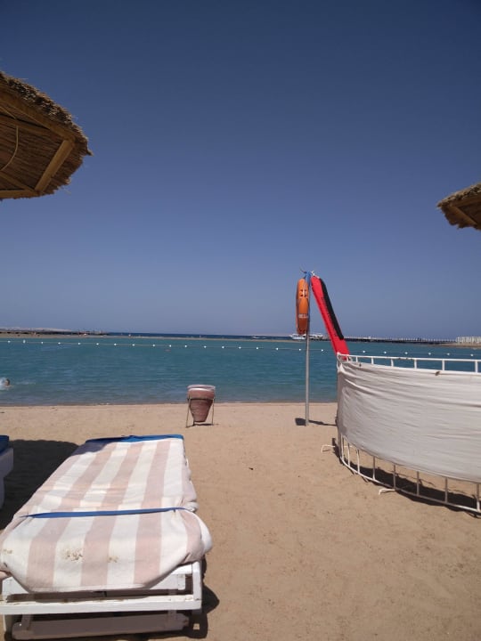 Blick zwischen den Liegen auf das Meer Pickalbatros Dana Beach Resort - Hurghada