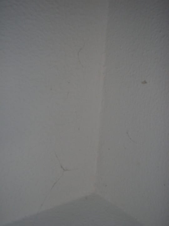 Spinnweben Bahia Calma Beach