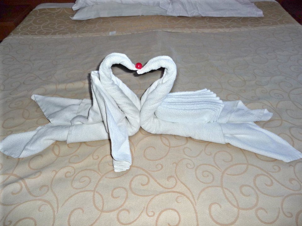 Schwäne Alua Helios Bay