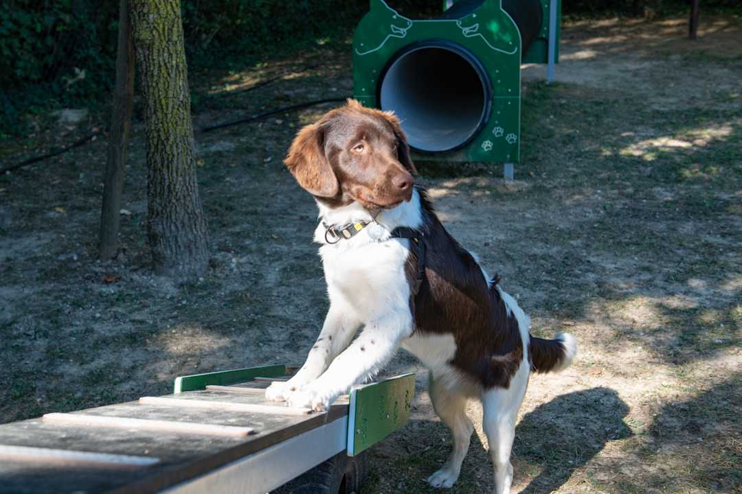 Sonstiges Ferienanlage Residence Piani Di Clodia