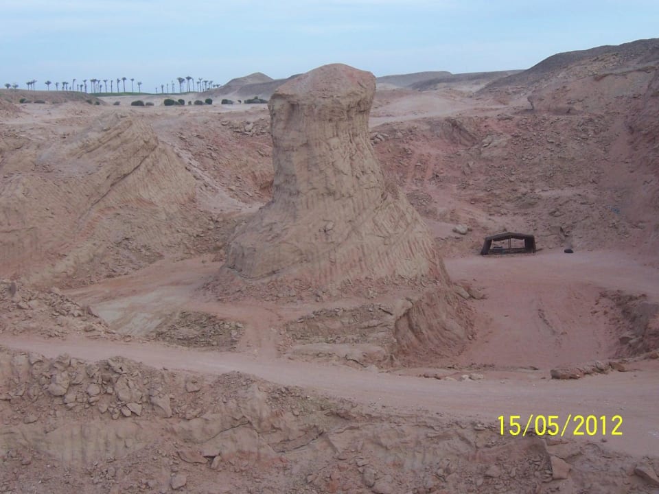 Auf dem Areal des Hotels Pickalbatros Citadel Resort