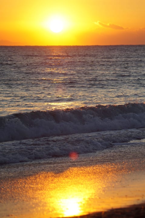 Sunset Asteria Collection Side