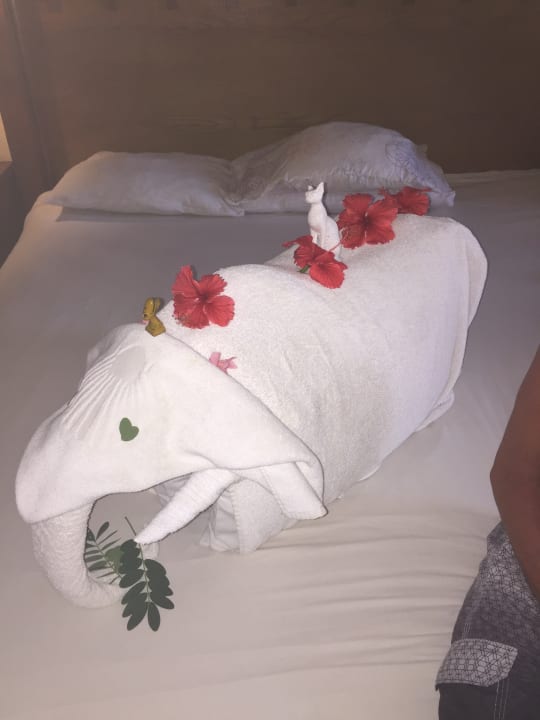 Vielen Dank an unseren House Keeper! Grand Makadi