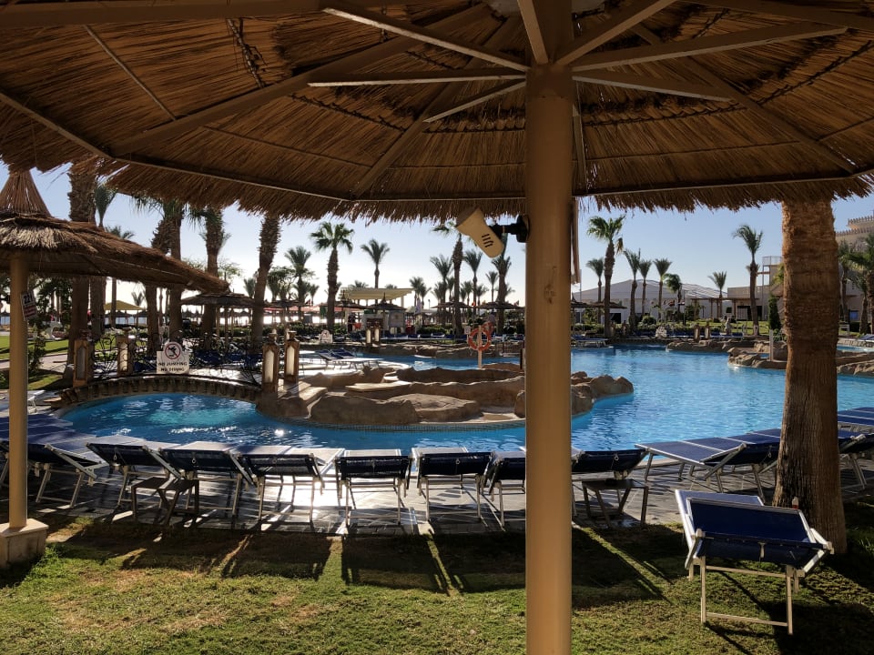 Pool Pickalbatros Palace Resort