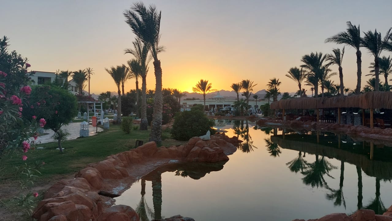 Gartenanlage Regency Plaza Aqua Park & Spa