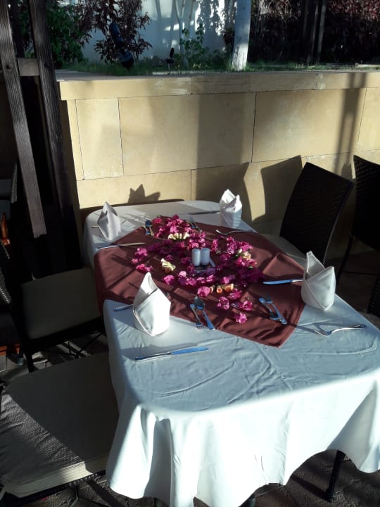 Gastro Pickalbatros Palace Hotel-Port Ghalib