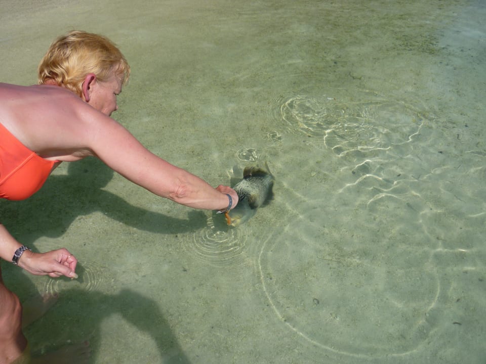 Jeden Tag um 4Uhr Adaaran Select Hudhuran Fushi - Premium All Inclusive