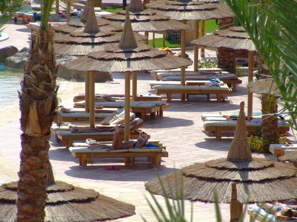 Liegen am Pool Pickalbatros Palace Resort