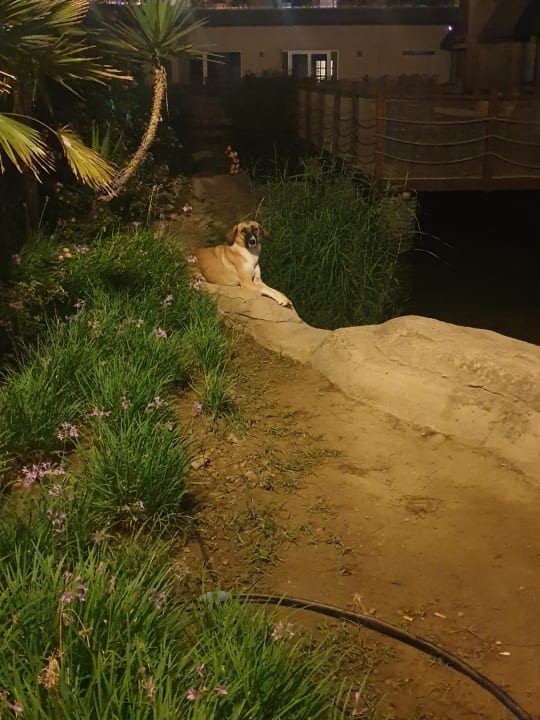 Gartenanlage Aqua Fantasy Aquapark Hotel & Spa