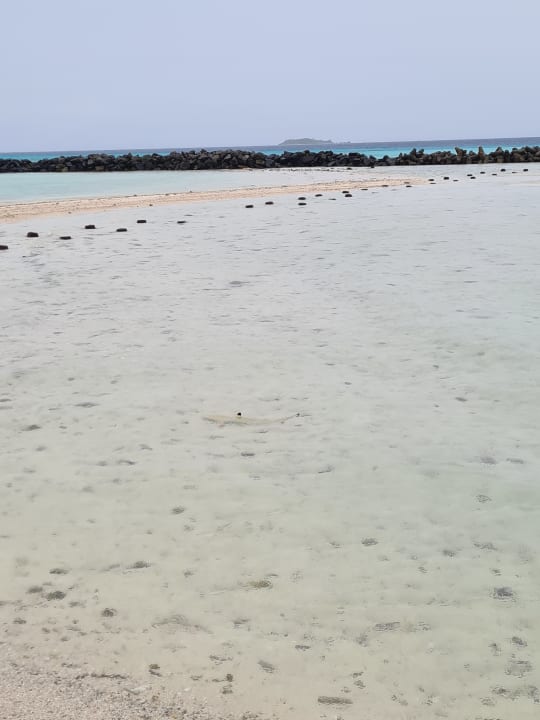 Strand Summer Island Maldives