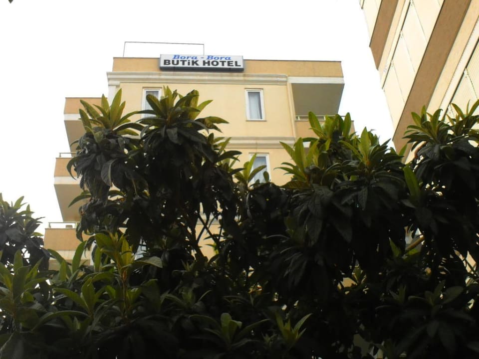 Blick auf das Hotel von unten Bora Bora Butik Hotel