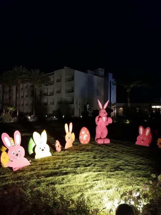 Sonstiges Pickalbatros Dana Beach Resort - Hurghada