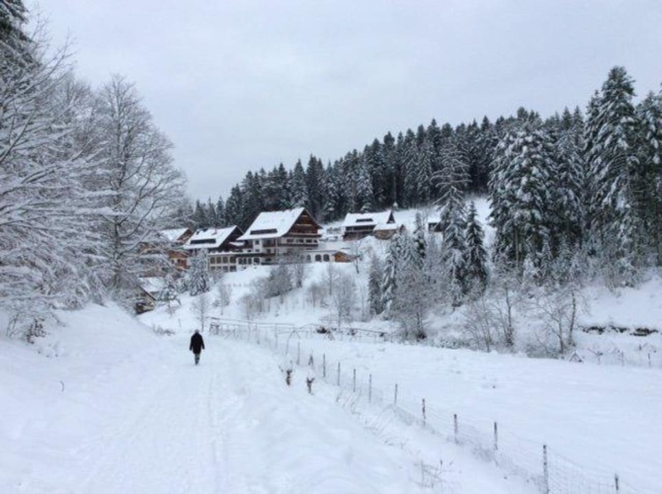 Im Winter 14 / 15 Wellnesshotel Forsthaus Auerhahn