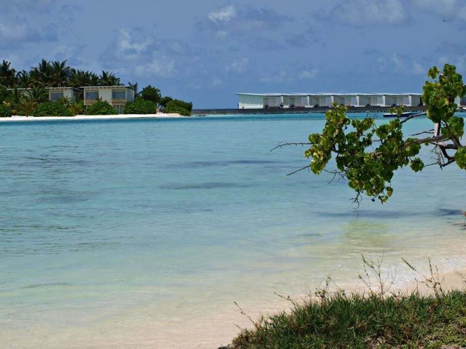 Plaża  Guesthouse Dacha Maldives