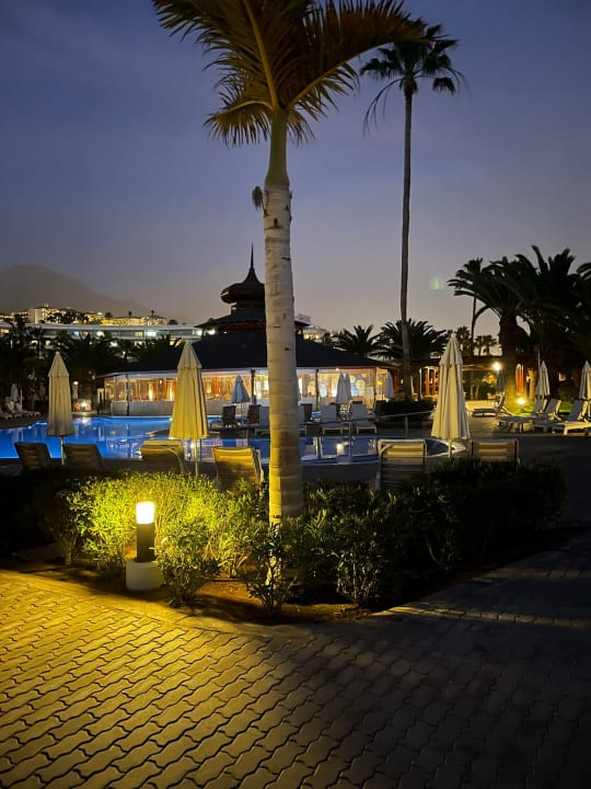 Gartenanlage Hotel Riu Palace Tenerife