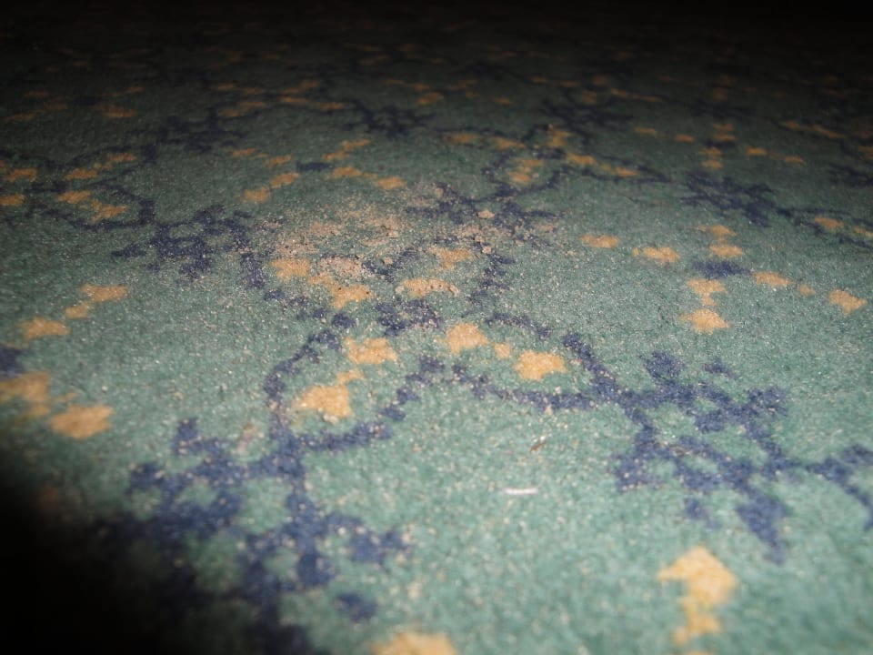 Dreckiger Teppich Zimmer 712 Hotel El Mouradi Skanes Beach