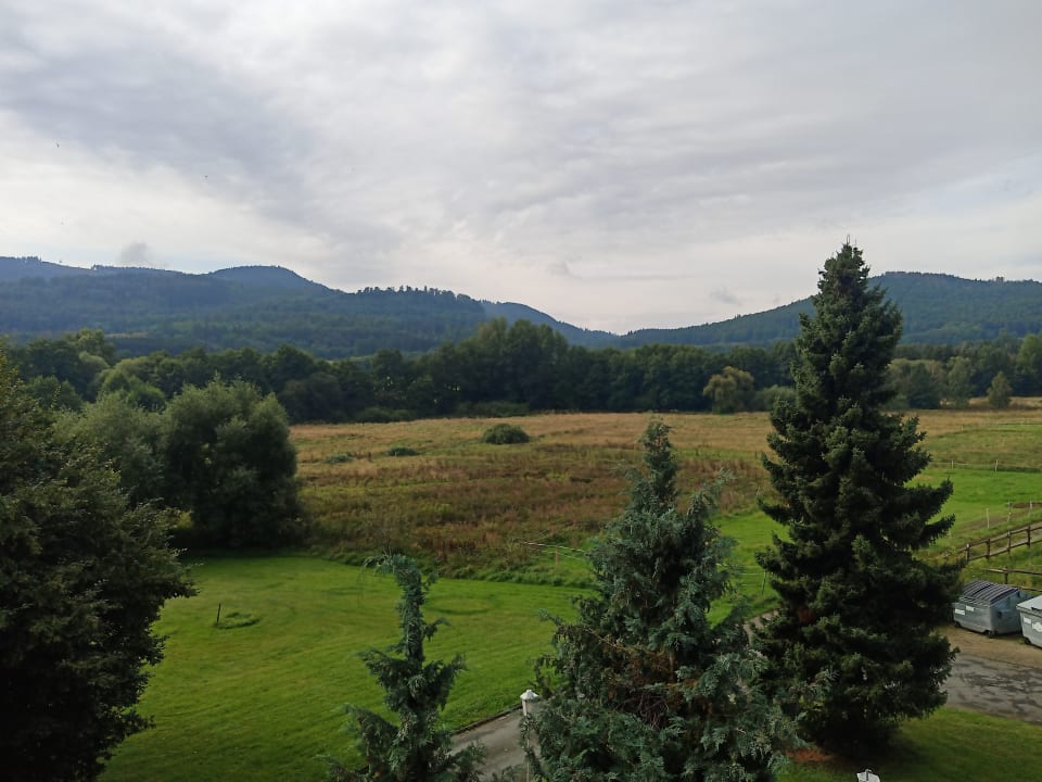 Ausblick Der Wolfshof