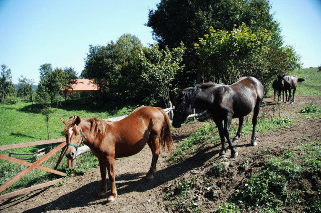 Adventure Plitvice Holiday Resort
