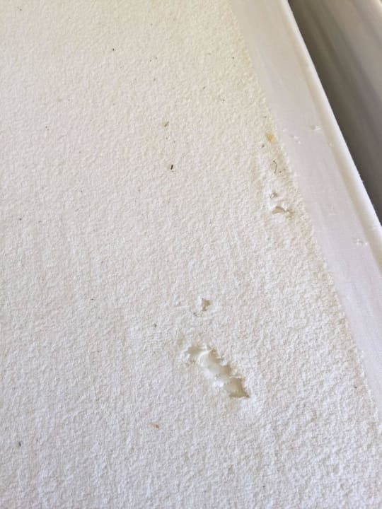 Schonbezug hat Motten ? BelleVue Club