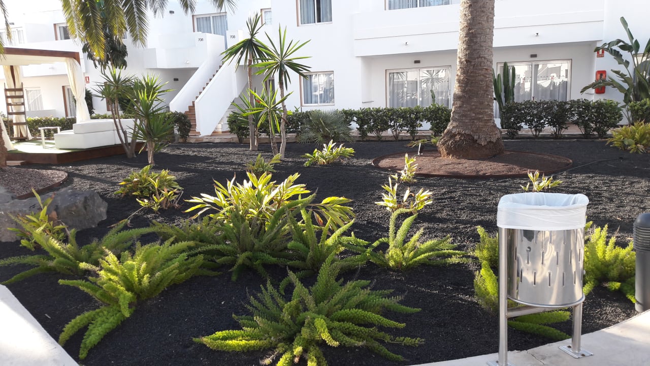 Pool LABRANDA Corralejo Village