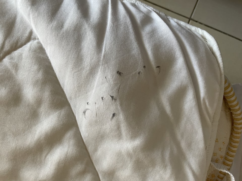 Zimmer Jaz Dar EL Madina