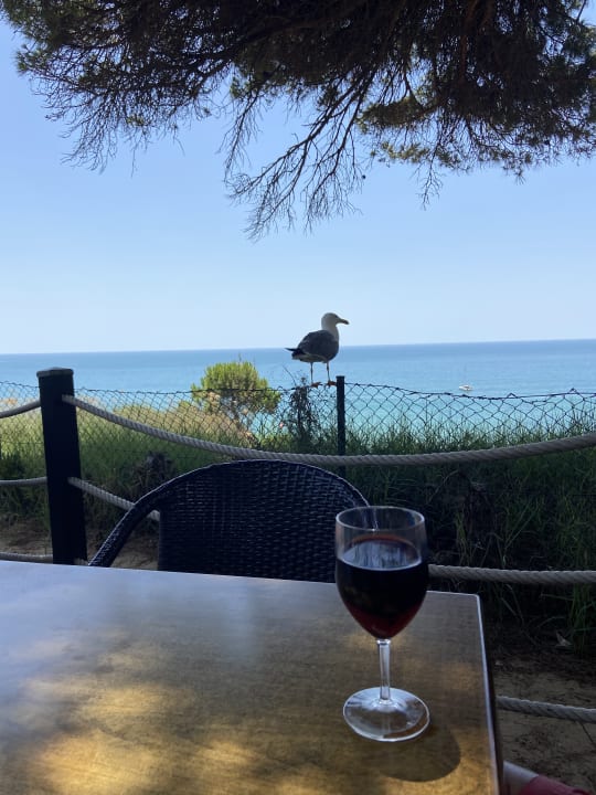 Sonstiges PortoBay Falésia