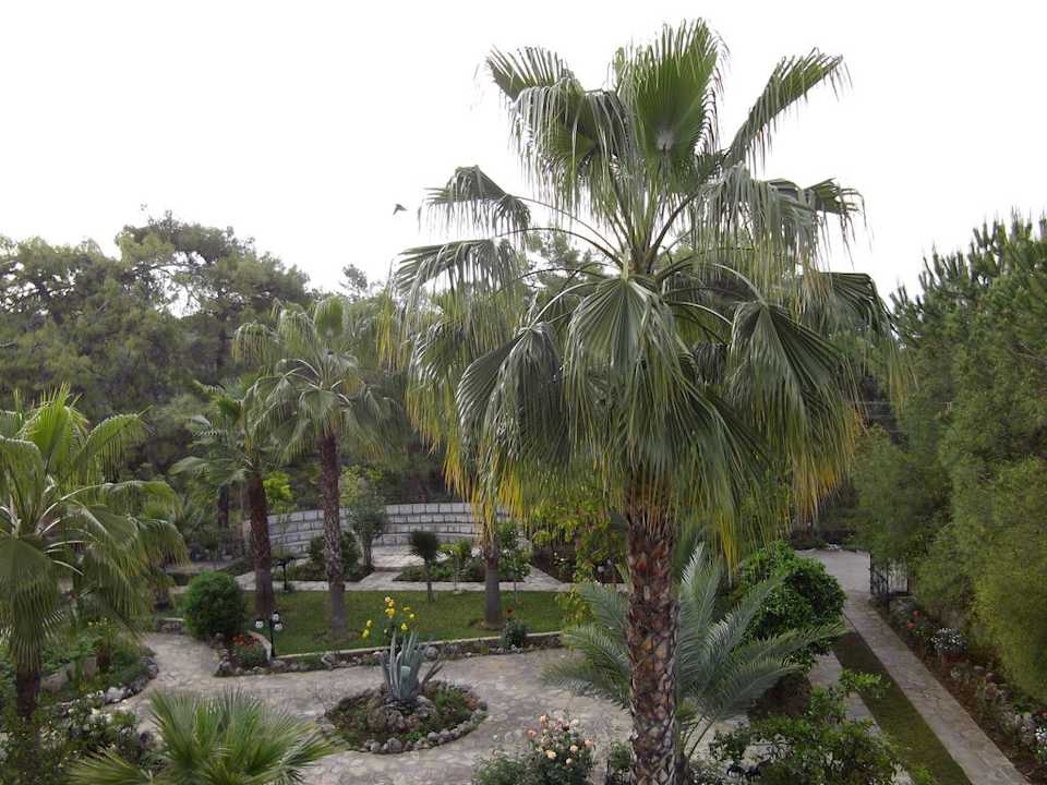 Garten Hotel Dreamland