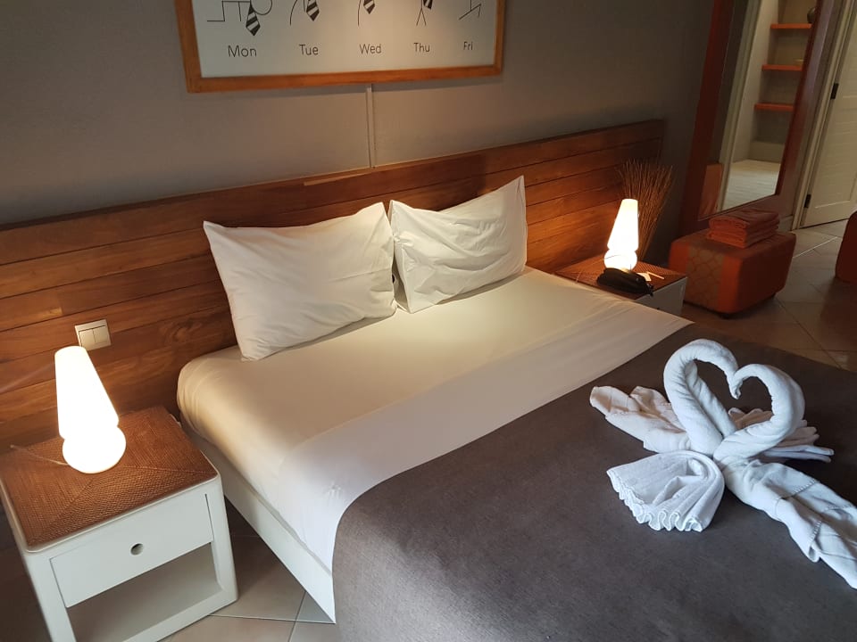 Zimmer Friday Attitude