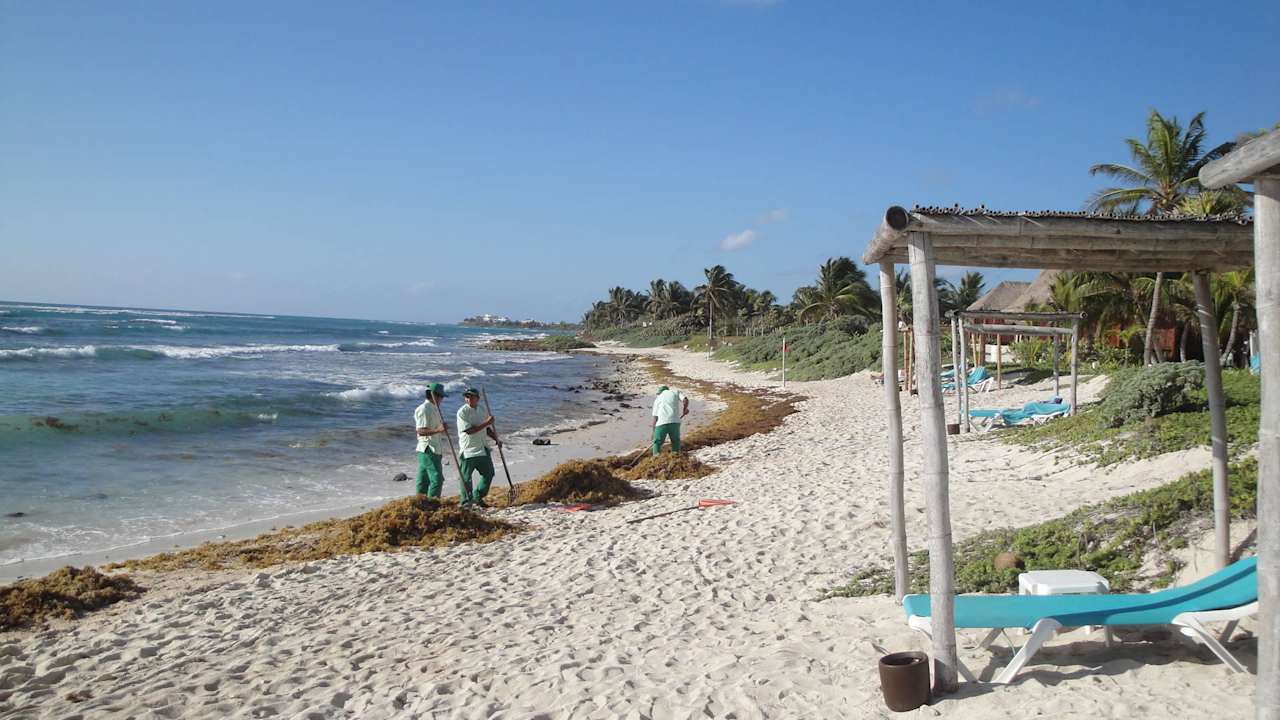 Strandreinigung Akumal Bay Beach & Wellness Resort