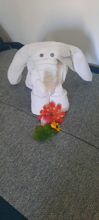 Zimmer Sunis Evren Beach Resort Hotel & Spa