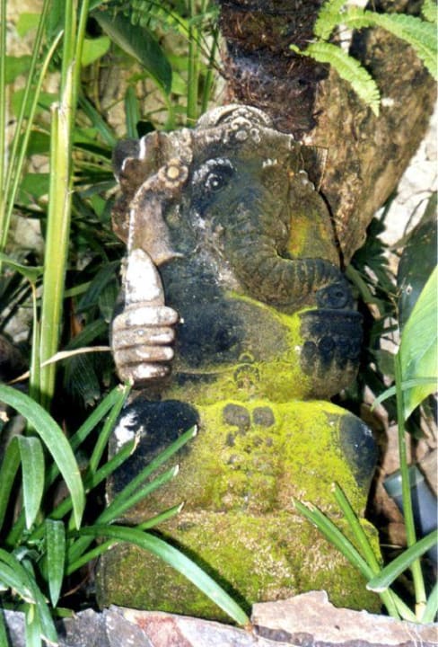 Göttliches am Pool Jamahal Private Resort & Spa