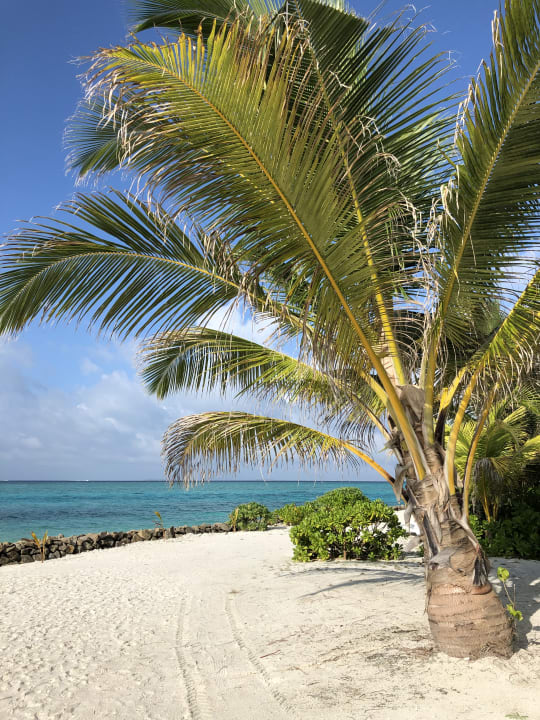 Strand Summer Island Maldives