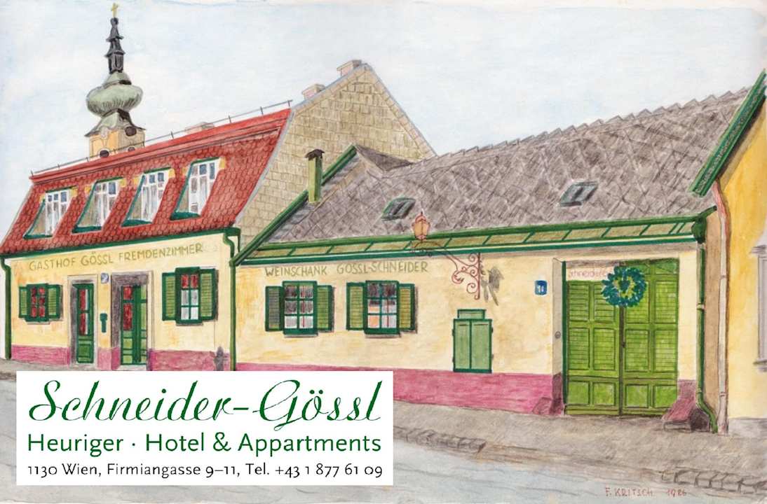 Außenansicht Hotel Schneider-Gössl