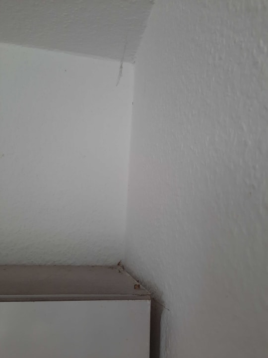 Zimmer Panoramic - Ihr Apartmenthotel im Harz