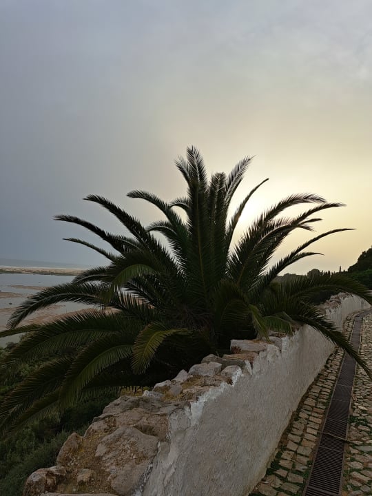 Ausblick ROBINSON QUINTA DA RIA