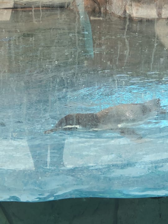 Sport & Freizeit The Land of Legends Kingdom Hotel