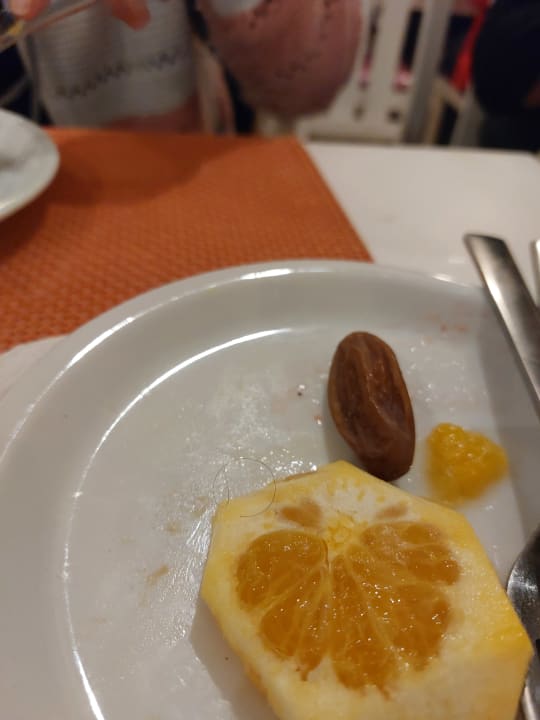 Gastro Hotel Marhaba Club