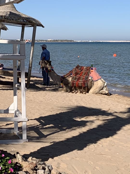 Strand Amwaj Beach Club Abu Soma Resort