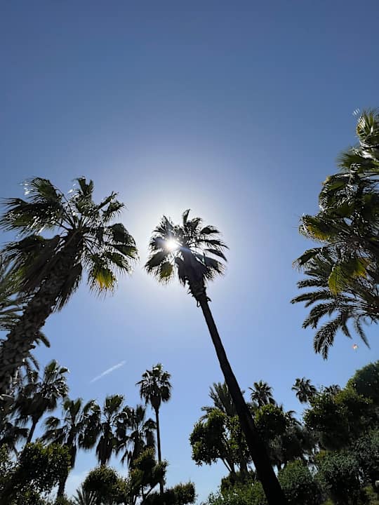 Gartenanlage Hotel Defne Garden