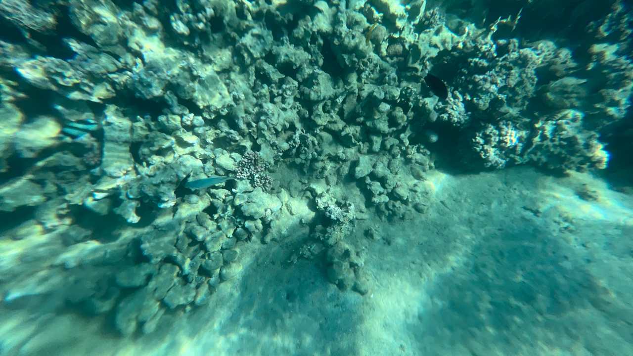 Strand Cleopatra Luxury Resort Makadi Bay